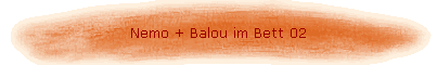 Nemo + Balou im Bett 02