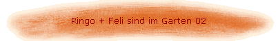 Ringo + Feli sind im Garten 02