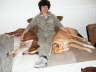 Ringo + Feli Sofa 03