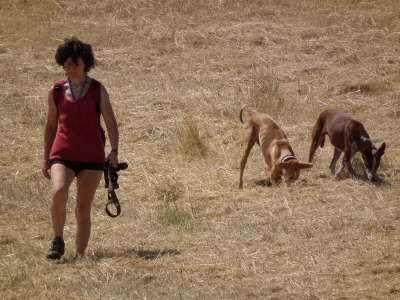 Ringo + Feli im Feld 01